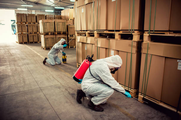 Best Local Pest Control Services  in Charleston, MS