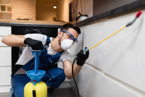 Best Bed Bug Extermination  in Charleston, MS