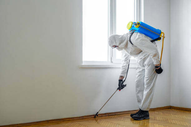 Professional Pest Control in Charleston, MS