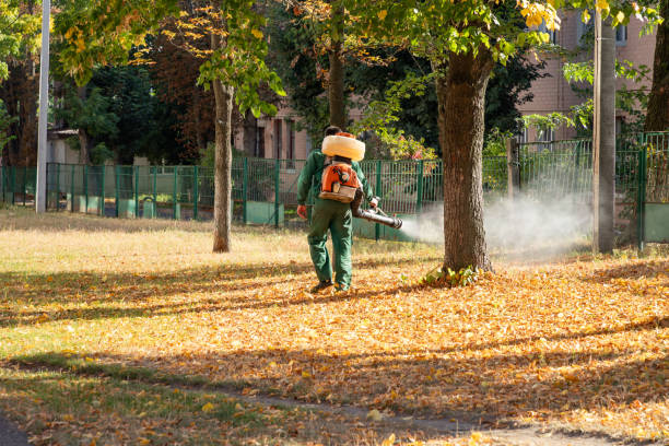 Best Termite Control Services  in Charleston, MS