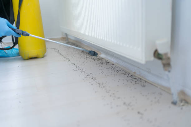 Best Pest Prevention Services  in Charleston, MS