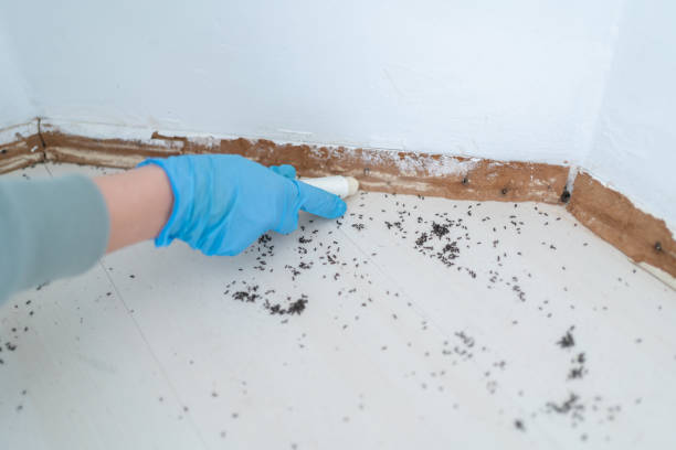 Best Affordable Pest Control Services  in Charleston, MS